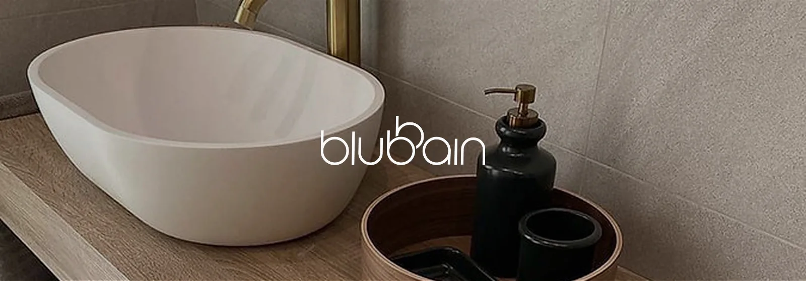 cabecera proyeto blubbain