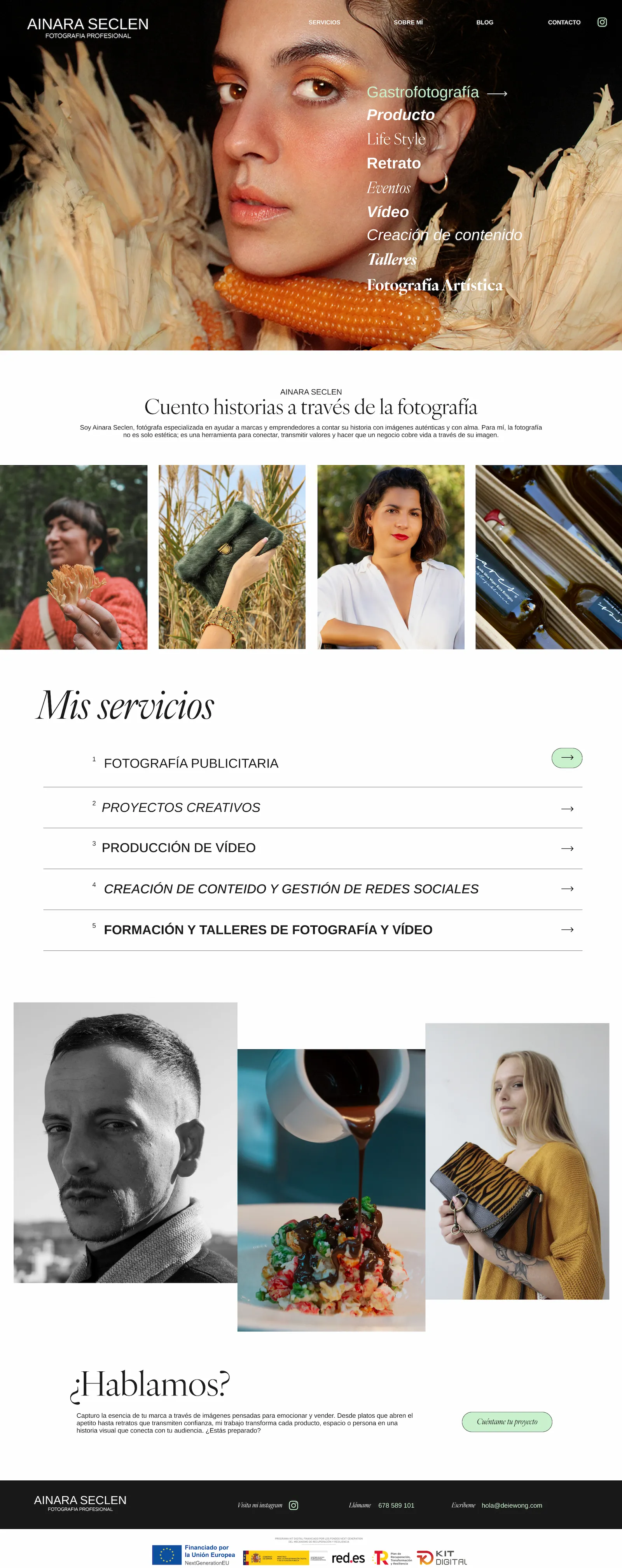 previsualizacion web ainara