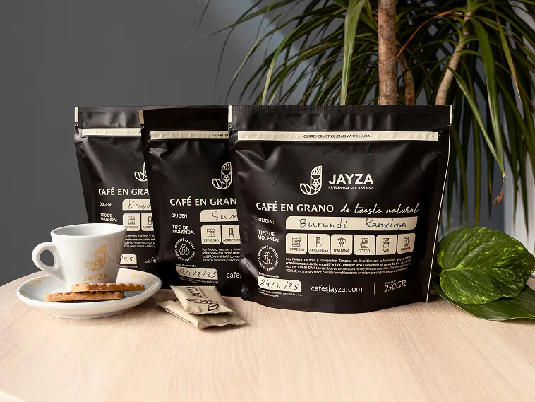 proyecto jayza 1